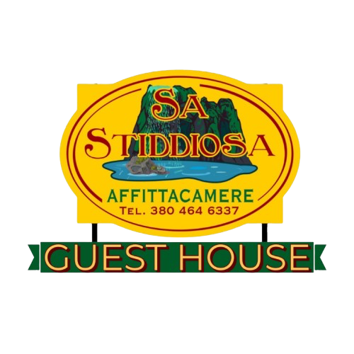 Sa Stiddiosa