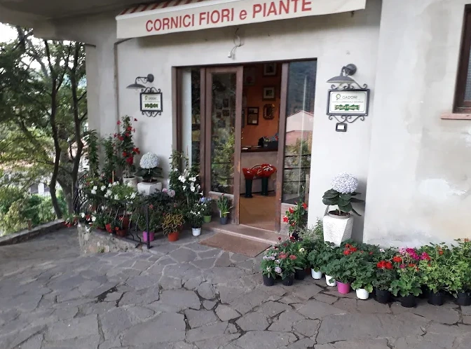 Vetrina Cornici Fiori e Piante di Adriana Mura