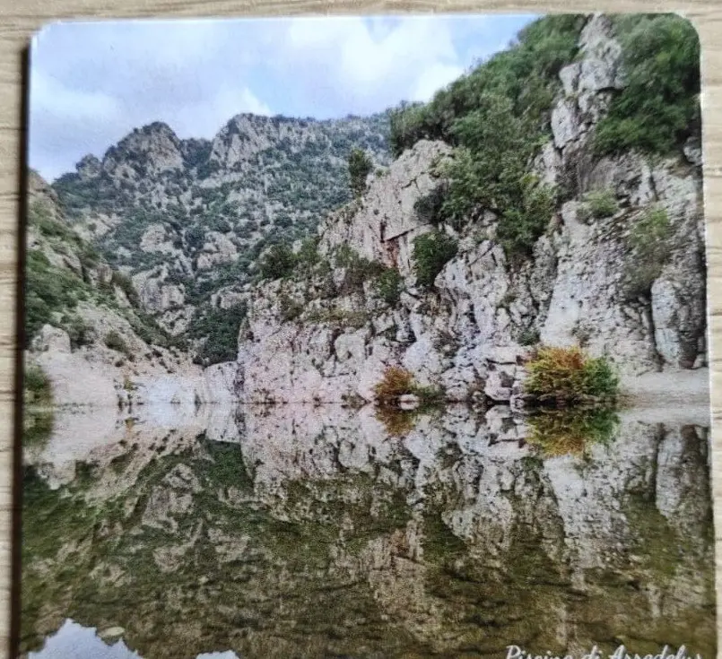 Attività della cooperativa sul territorio di Gadoni